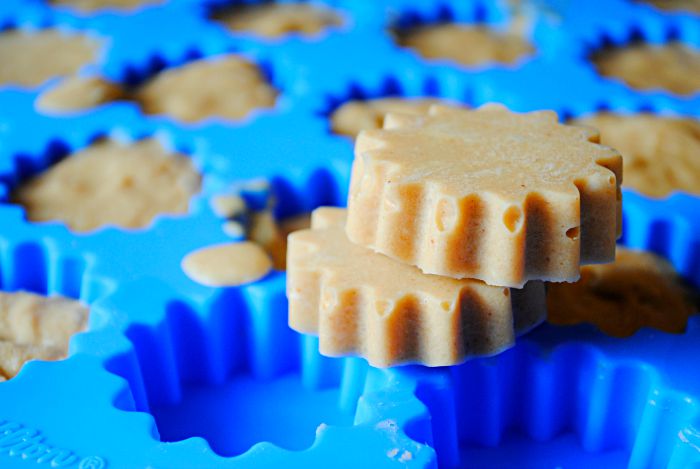 Homemade Frozen Peanut Butter Banana Coconut Oil Dog Treats