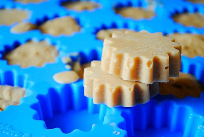 Homemade Frozen Peanut Butter Banana Coconut Oil Dog Treats