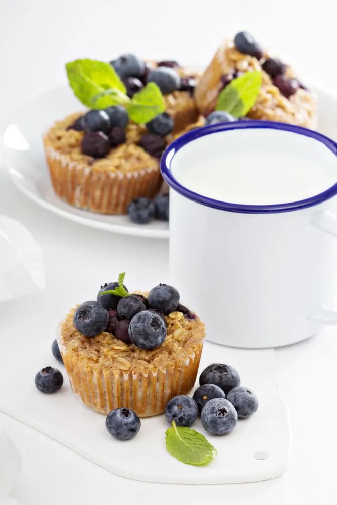 Vegan Blueberry Muffins