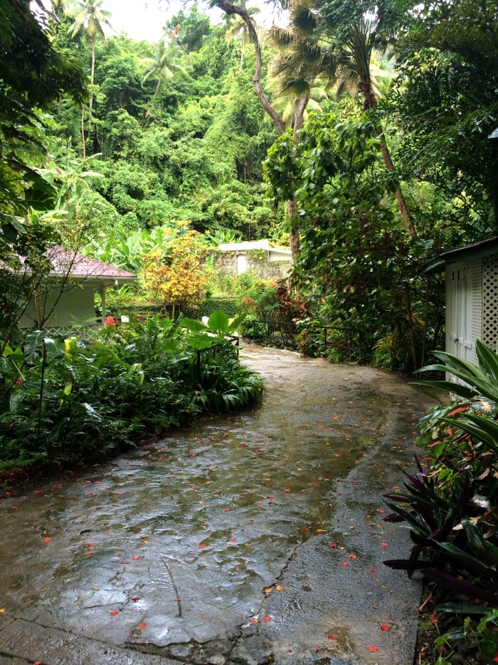 Raining at the Botanical Gardens