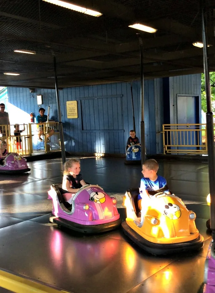 Bumper Cars at King Island