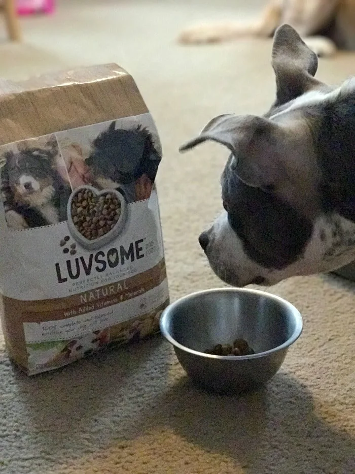 What is Luvsome dog food