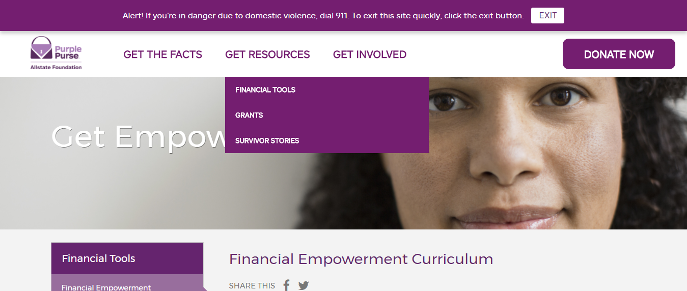 Allstate Purple Purse Foundation financial resources