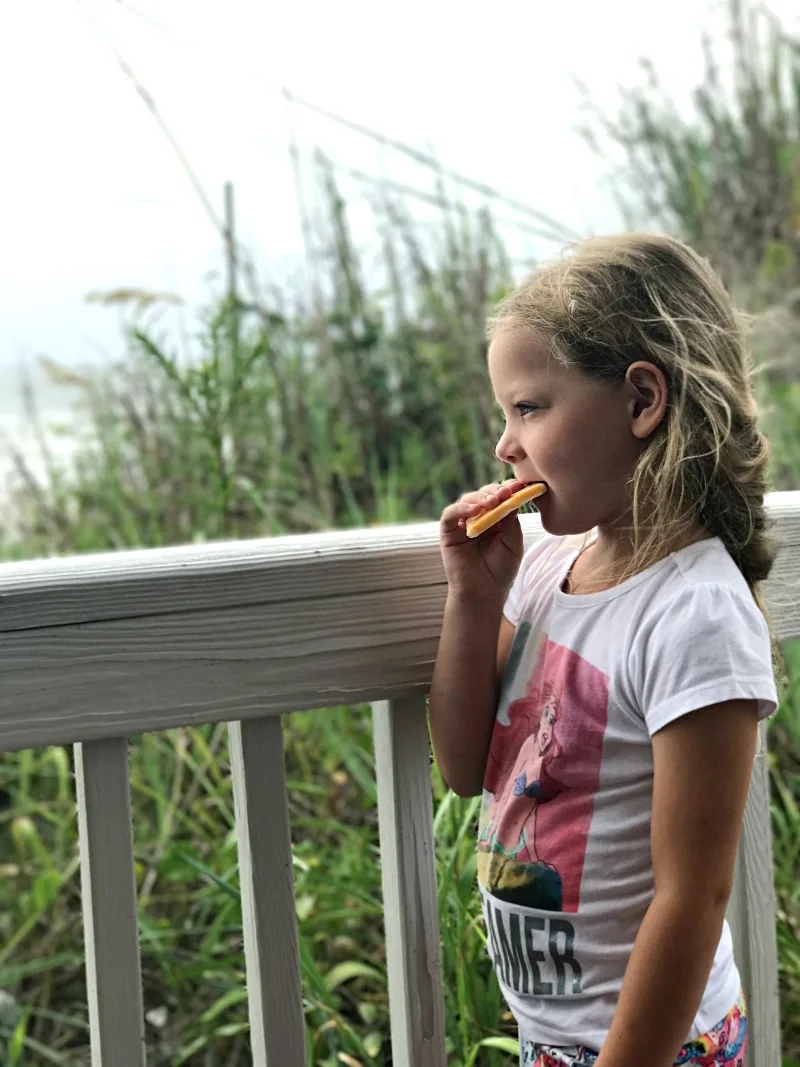 Kid friendly snacks for vacation that are wholesome