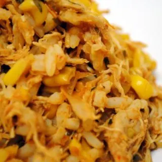crock pot salsa chicken, slow cooker salsa chicken, crock pot chicken burrito