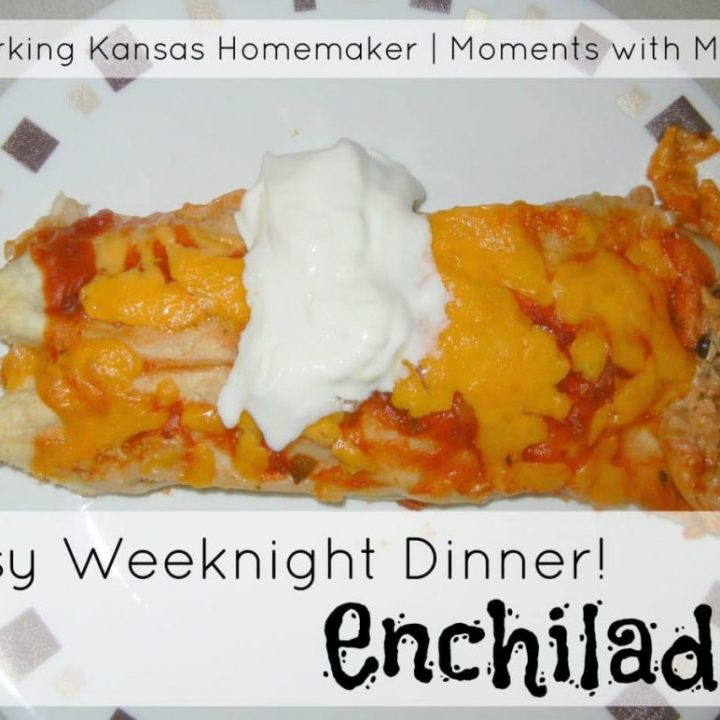 Easy Weeknight Dinner- Enchiladas