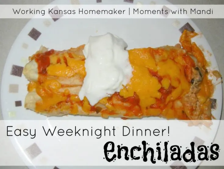 Easy Weeknight Dinner- Enchiladas