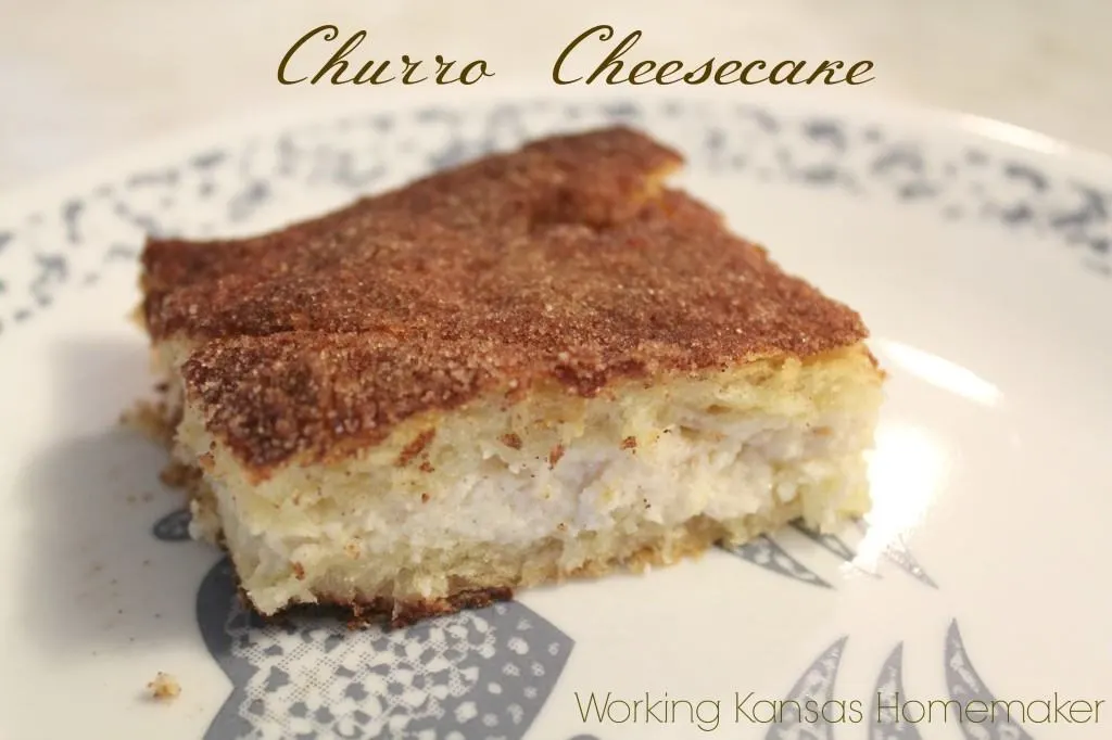 Easy Churro Cheesecake Recipe