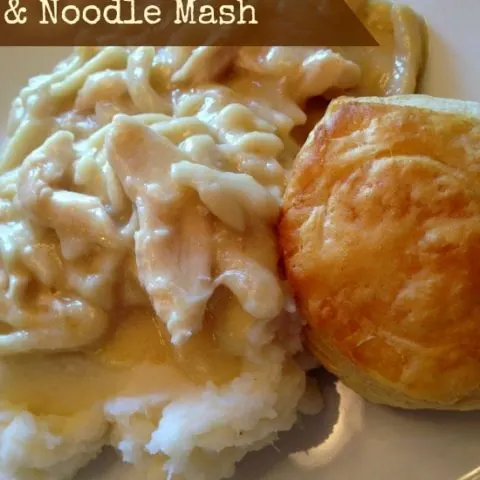 Crockpot Chicken and Noodles Mash