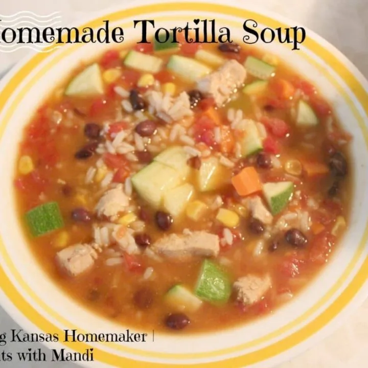 Homemade Tortilla Soup