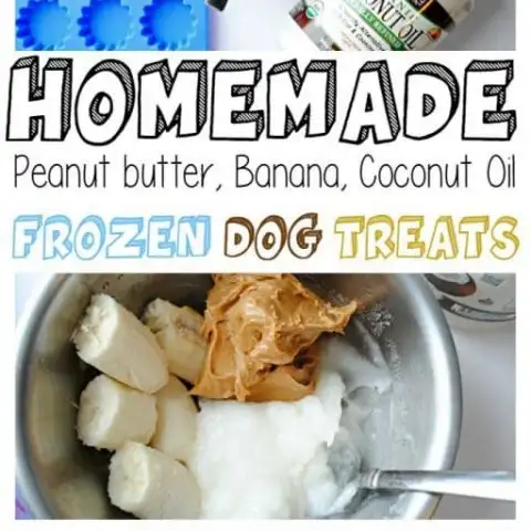homemade dog treats using peanut butter, banana and coconut oil