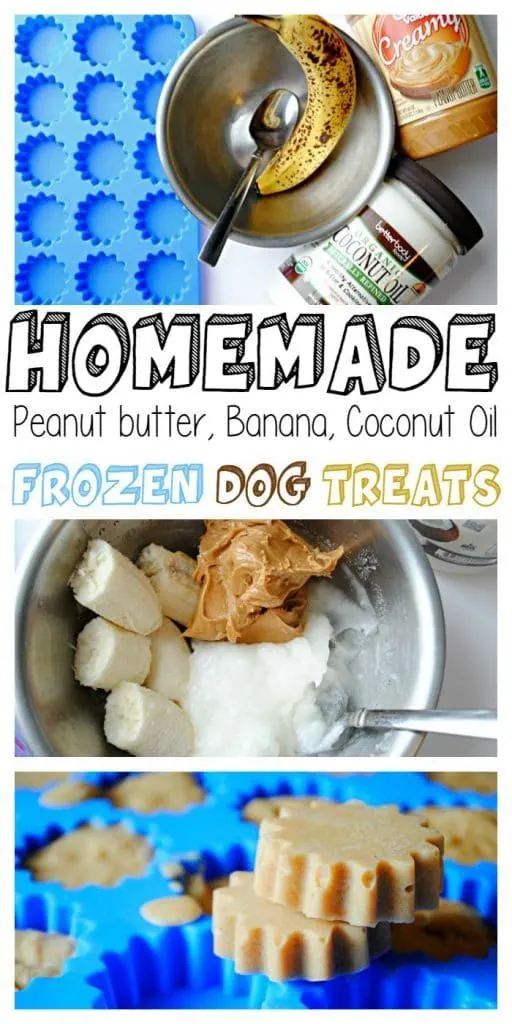 homemade dog treats using peanut butter, banana and coconut oil