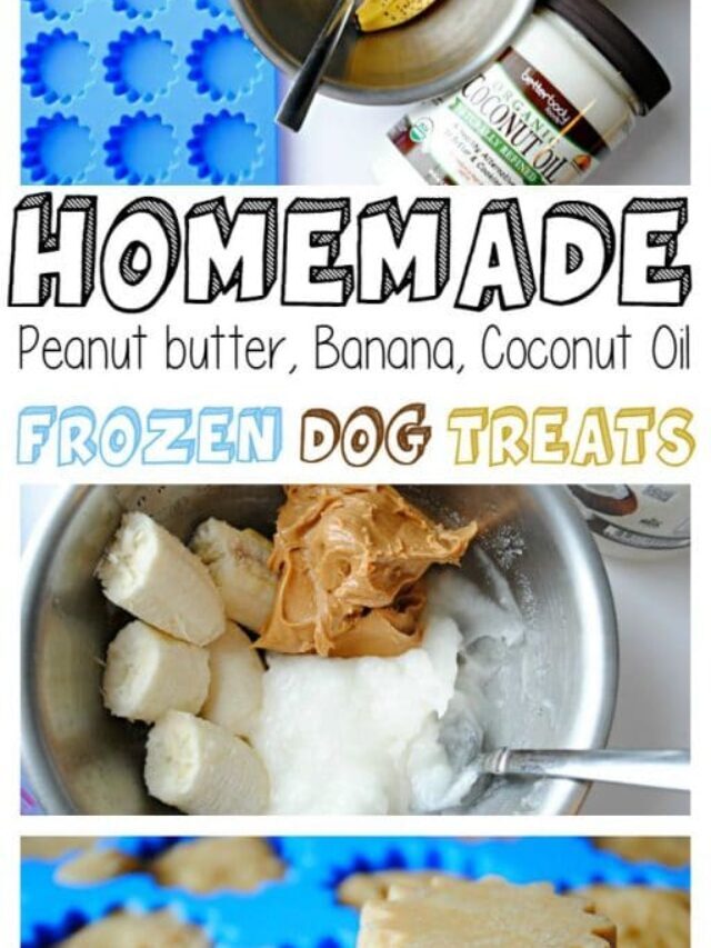 Homemade Frozen Banana Peanut Butter Coconut Oil Dog Treats Moments With Mandi