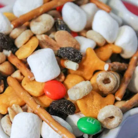 Easy Kid's Trail Mix