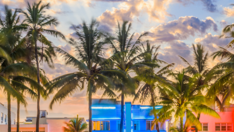 How to Enjoy the Miami Nightlife