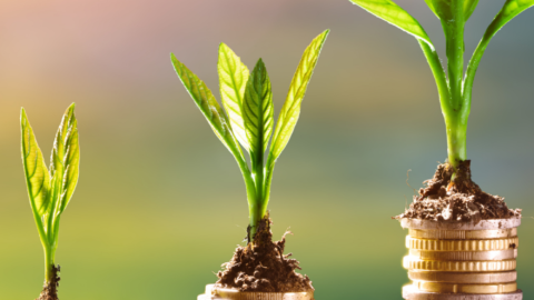 Ways to Make Investments for Tomorrow Today