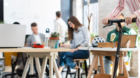 Business Tips: This Is How You Can Keep Your Team Motivated and Improve Productivity