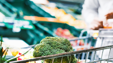 A Guide to Rising Grocery Costs How to Save Money