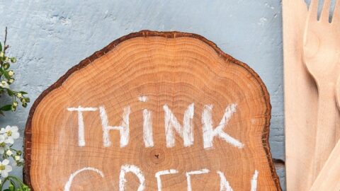 How To Be More Environmentally-Friendly