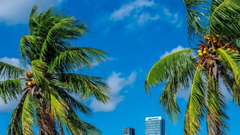 There’s Magic Waiting To Be Discovered In Miami