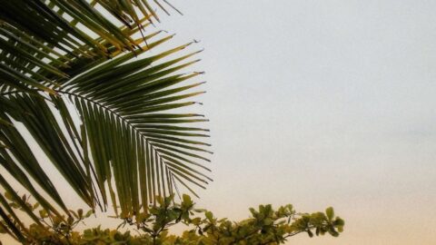 How To Make the Most of Your Weekend