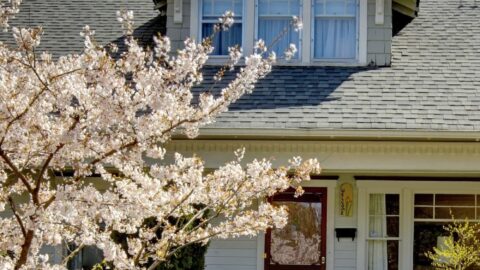 What Your Options Are If You Can’t Afford Your Home