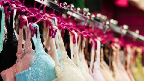 Why A Correctly Fitted Bra Is Important For Your Day