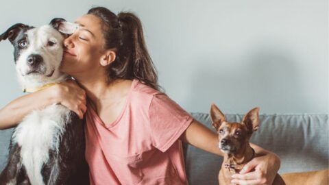How to Choose the Right Pet Insurance Policy for Your Pet
