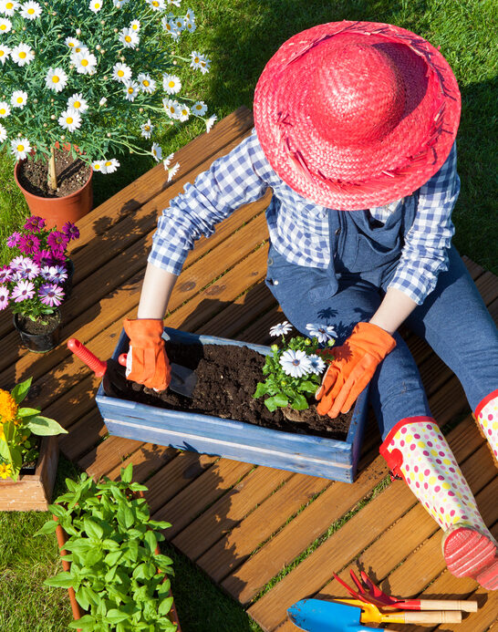 3 Gardening and Flower Tips that Can Make a Difference This Summer