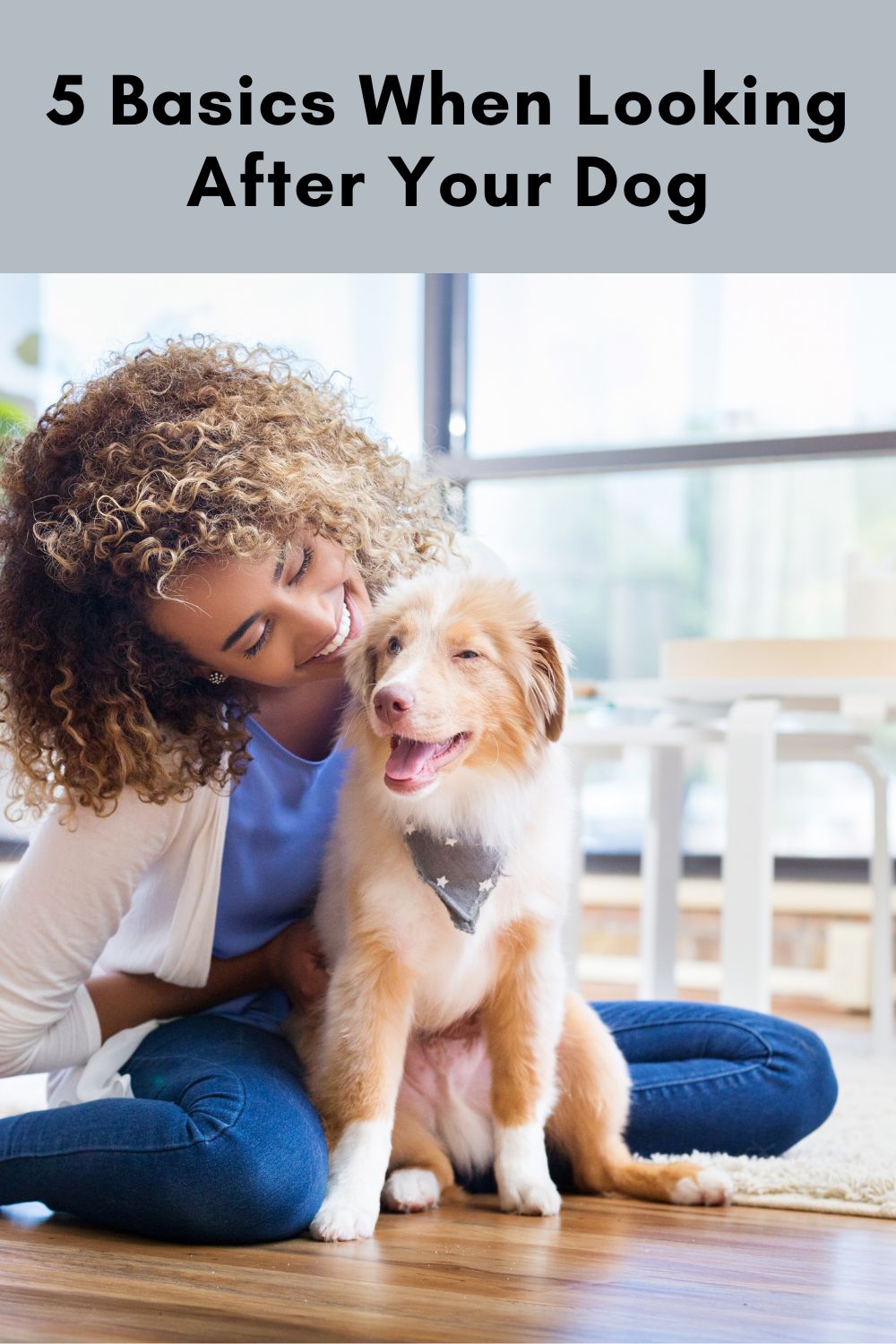 5 Basics When Looking After Your Dog Moments With Mandi